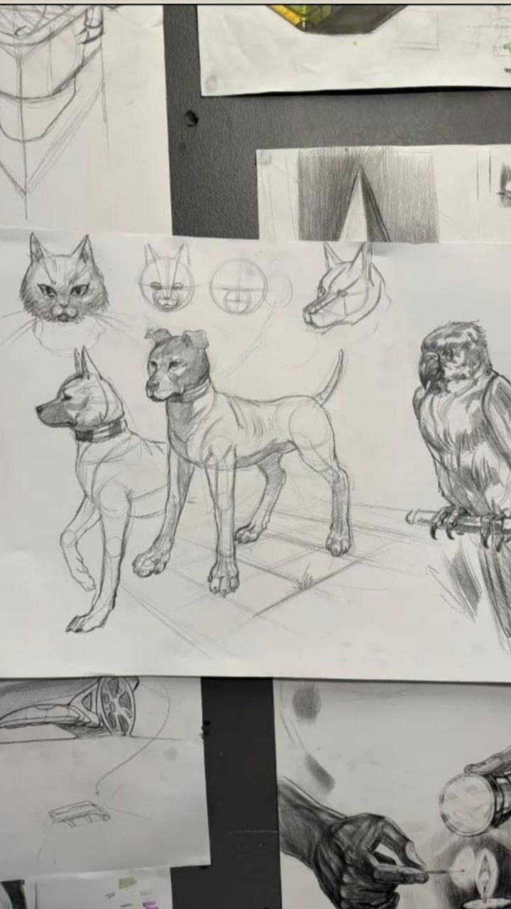 ART 031